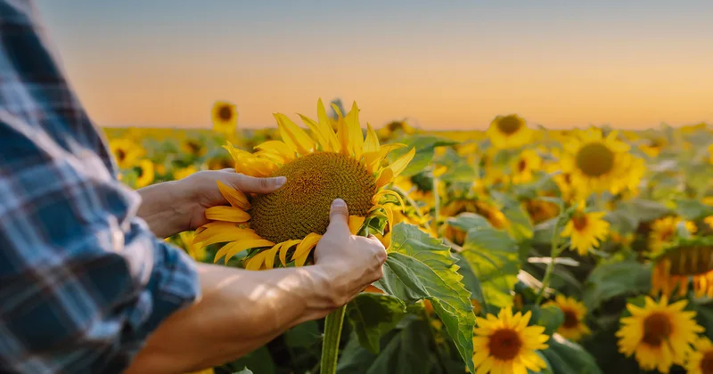 Eter Solar Soluciones Energéticas — installateur de panneaux solaires