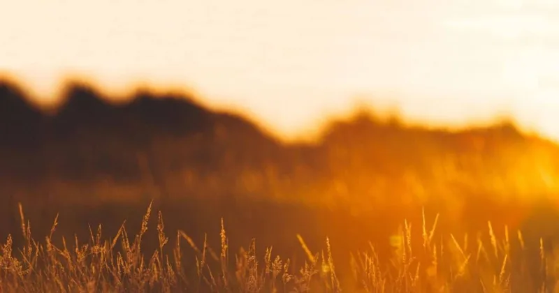 O2 TOIT GARD — installateur de panneaux solaires