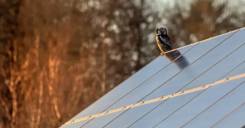 MA Solution Energy - Entreprise certifiée RGE — installateur de panneaux solaires