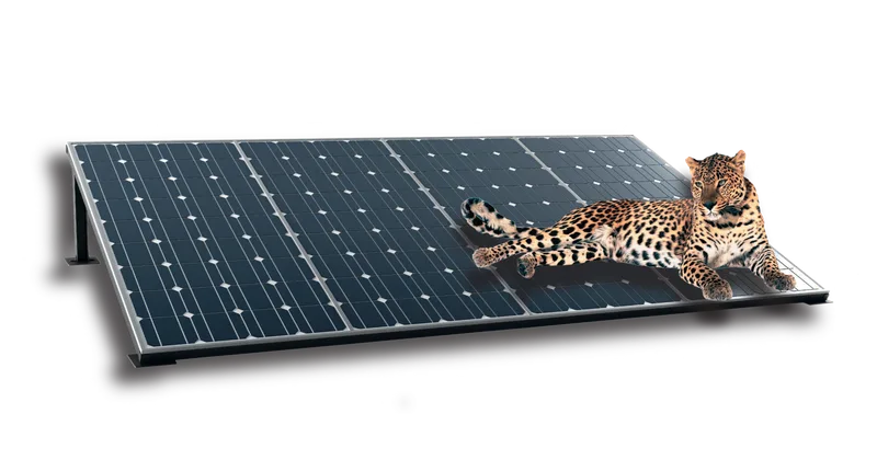 SOLAR Qualité CHABLIS | Installateur panneaux photovoltaïques | Energie solaire — installateur de panneaux solaires